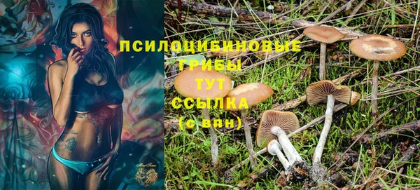 мяу мяу кристалл Алексин