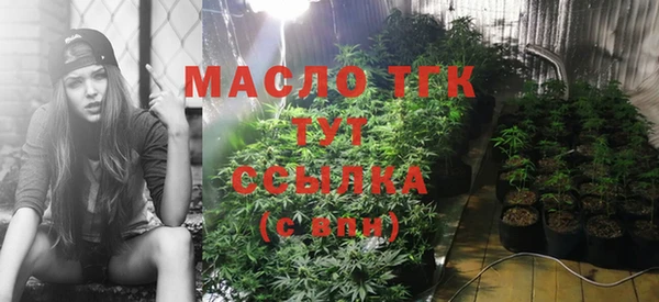 гидропоника Осинники