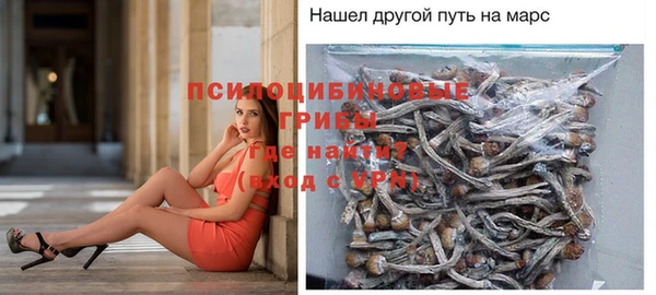 герыч Алзамай