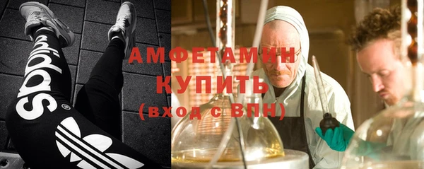 сатива Алексеевка