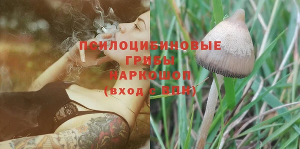 герыч Алзамай