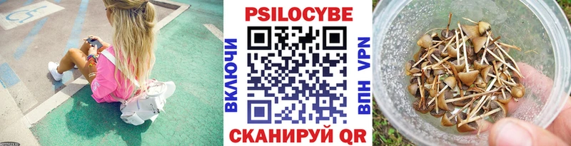 Псилоцибиновые грибы Cubensis  купить наркоту  Ковылкино 